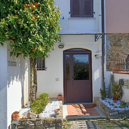 Apartament Locazione Turistica La Gesualda Castelnuovo Magra Zewnętrze zdjęcie
