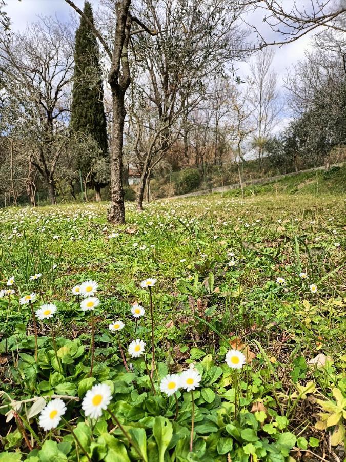 Apartament Locazione Turistica La Gesualda Castelnuovo Magra Zewnętrze zdjęcie