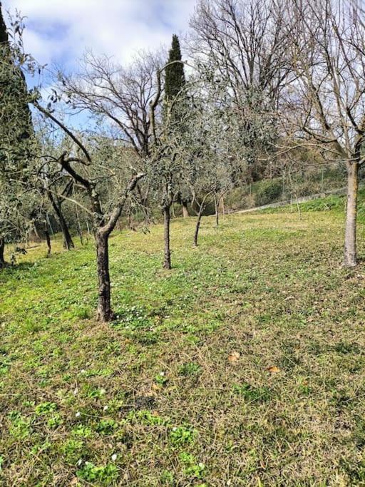 Apartament Locazione Turistica La Gesualda Castelnuovo Magra Zewnętrze zdjęcie