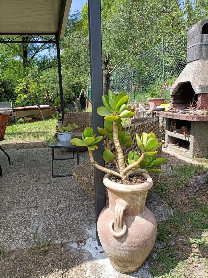 Apartament Locazione Turistica La Gesualda Castelnuovo Magra Zewnętrze zdjęcie