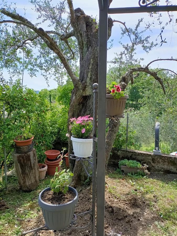 Apartament Locazione Turistica La Gesualda Castelnuovo Magra Zewnętrze zdjęcie