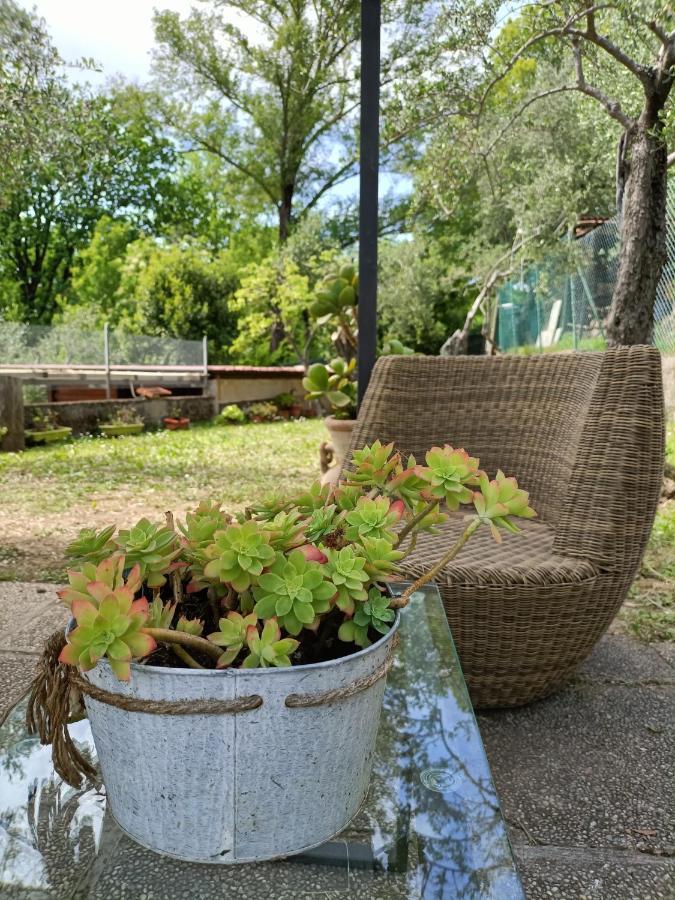 Apartament Locazione Turistica La Gesualda Castelnuovo Magra Zewnętrze zdjęcie